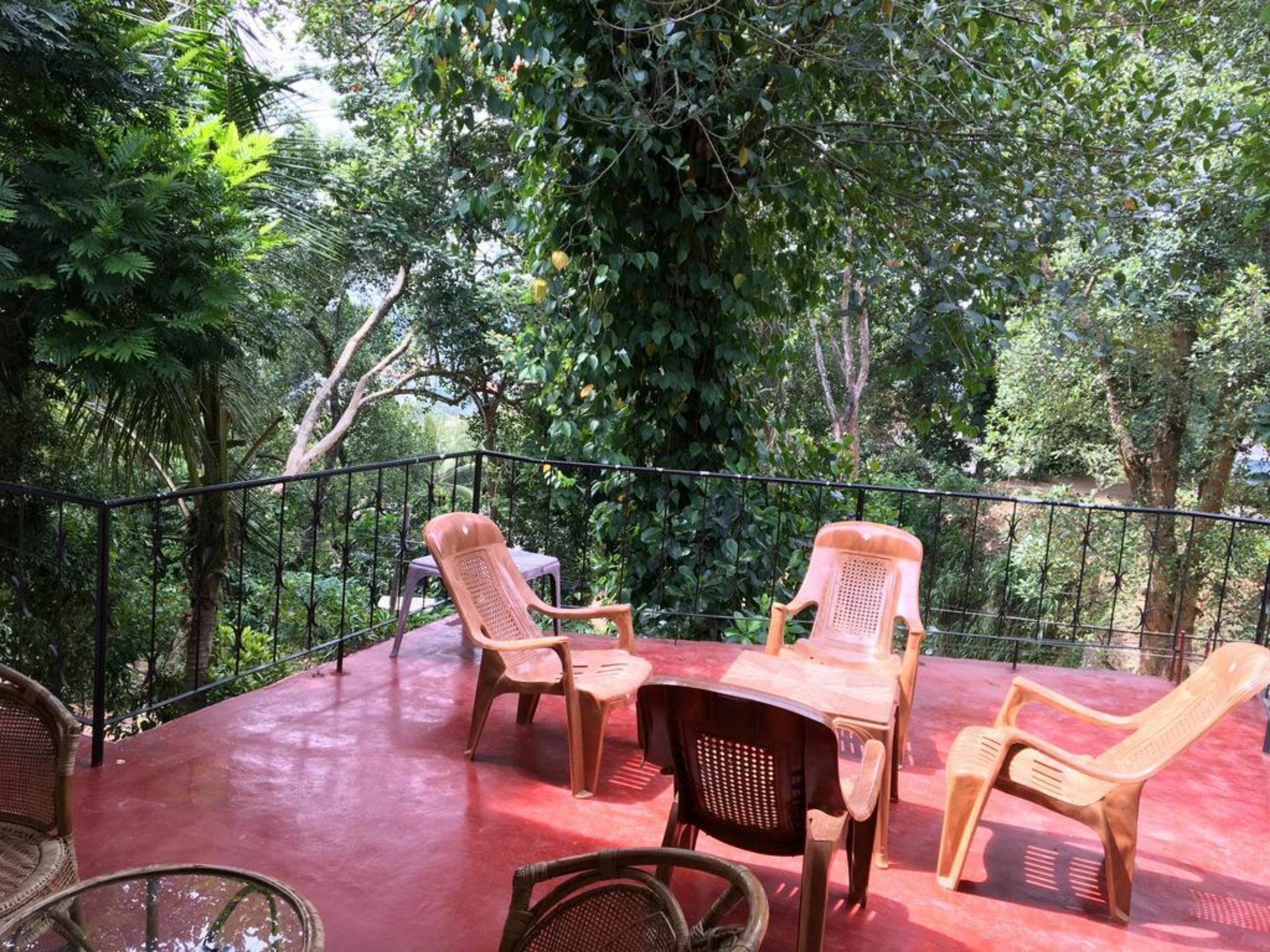 Kandy Shady Trees Villa Екстериор снимка