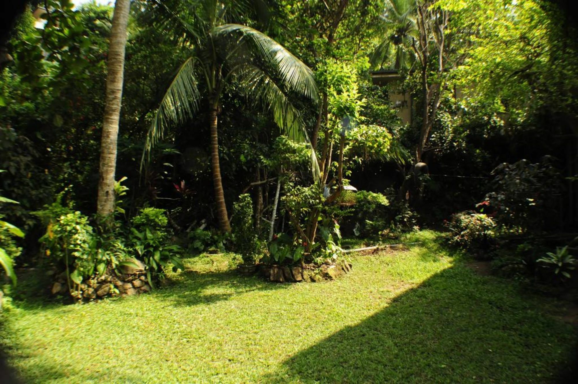 Kandy Shady Trees Villa Екстериор снимка