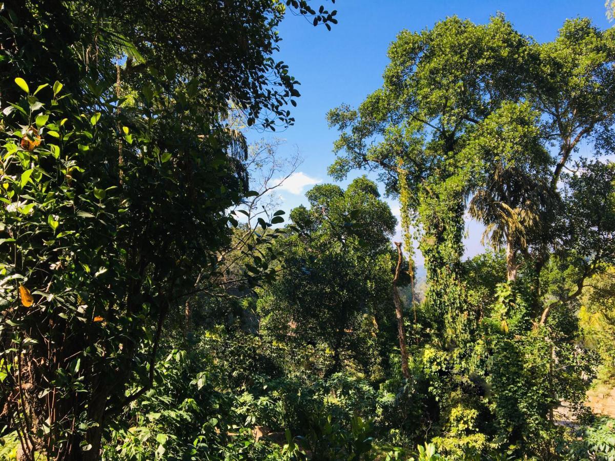 Kandy Shady Trees Villa Екстериор снимка